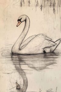 Swol Drawing 40 Swan Drawing Ideas to Capture Grace and Elegance - The Sketch ...