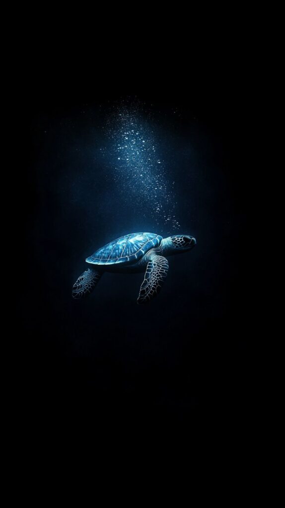Turtle Wallpaper