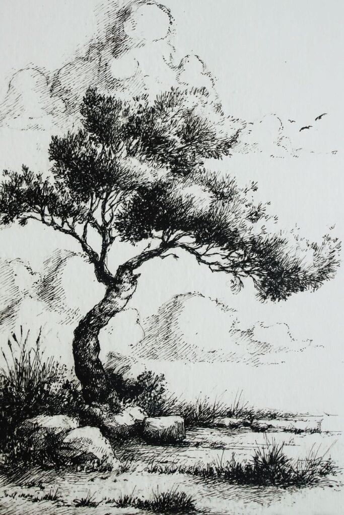 landscape drawing