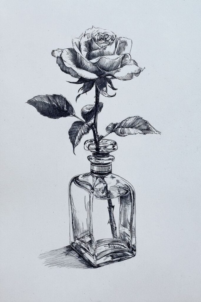 rose drawing