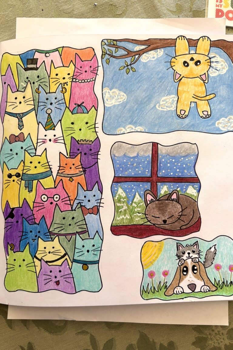 Cute hand-drawn cat illustrations with vibrant colors and playful scenes.