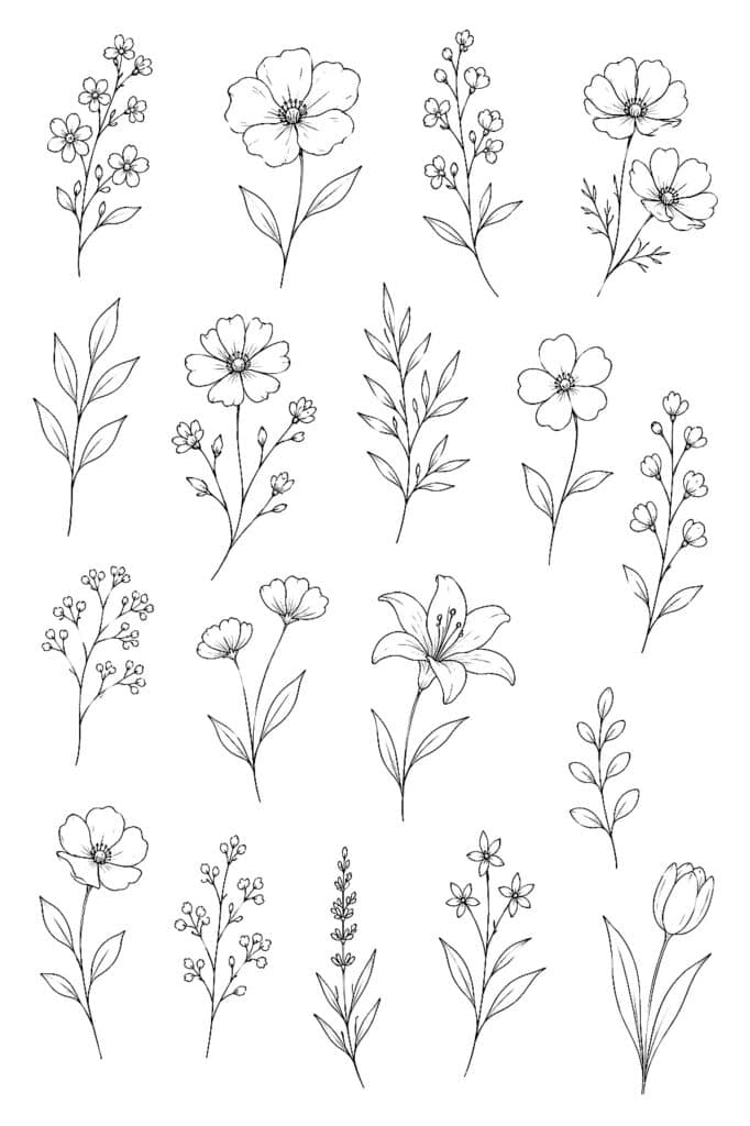 Hand-drawn floral line art illustrations for creative doodling and design projects.