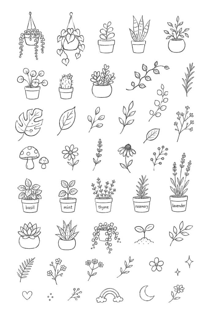 Black and white sketch illustrations of potted plants, flowers, and nature elements for creative des.